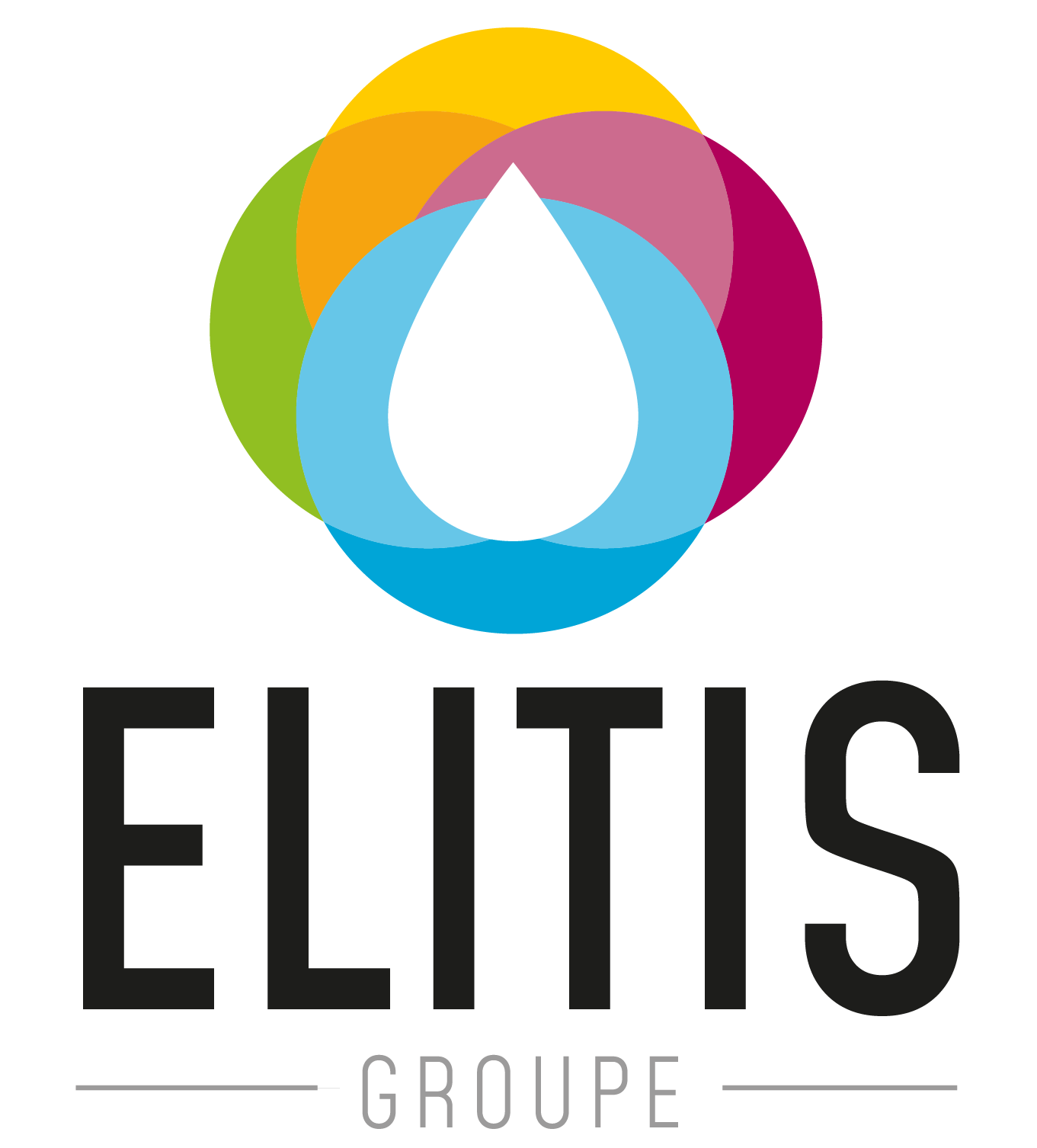 Elitis Groupe